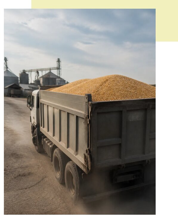 Перевозка сельхозпродукции навалом в Сургут по цене от 3067 р. | Агросервис-Срг